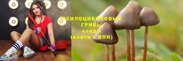соль ск Алексин