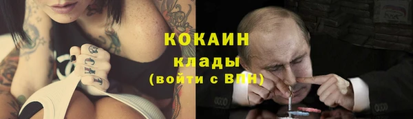 соль ск Алексин