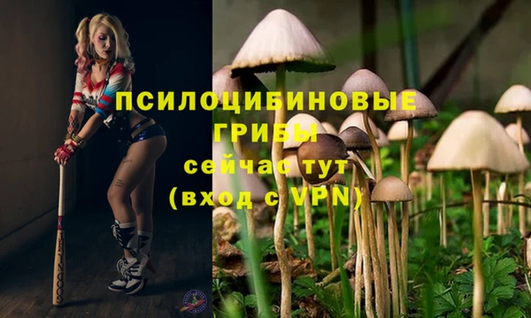 дживик Алексеевка