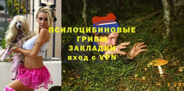 бошки Алзамай