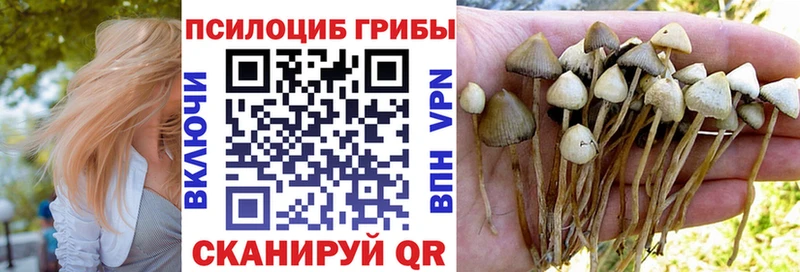 Галлюциногенные грибы мицелий  как найти наркотики  Дмитров 